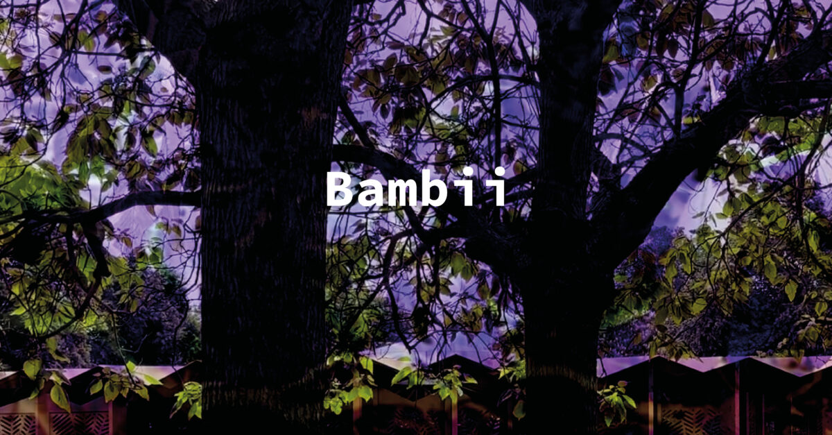 PARK-NIGHTS-NIGHTS-TITLES-4-