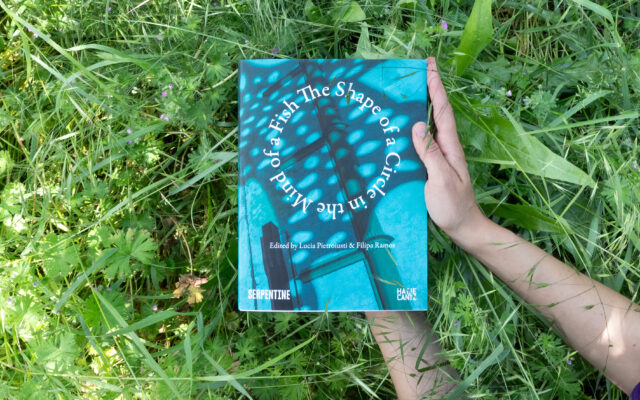 The Fish and the Artist as Ecologist: The Shape of a Circle in the Mind of Two Books