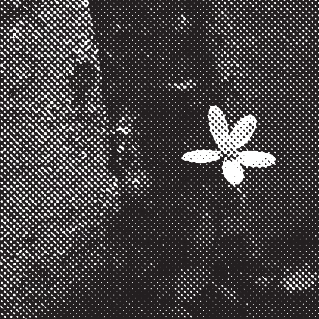 Serpentine Reader 02 Launch